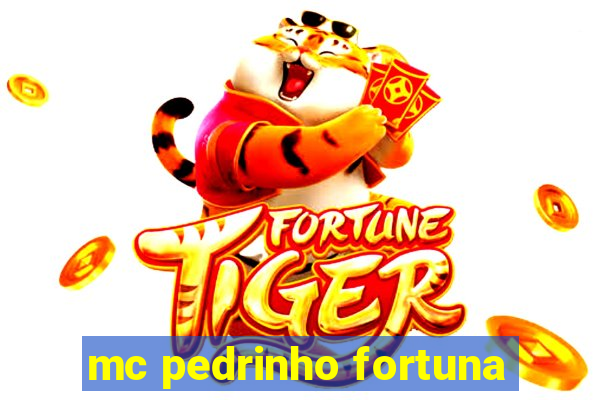 mc pedrinho fortuna